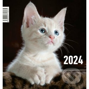 Mačička 2024 - Form Servis