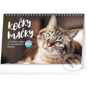 Stolní kalendář Kočky – Mačky CZ/SK 2024 - Notique