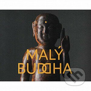 Malý Buddha - Jana Ryndová