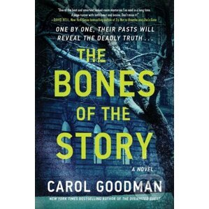E-kniha The Bones of the Story - Carol Goodman