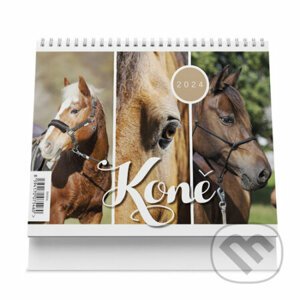 Stolní kalendář Koně 2024 - VIKPAP