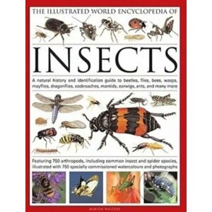 The Illustrated World Encyclopedia of Insects - Martin Walters