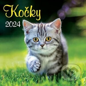 Kalendář 2024 Kočky, nástěnný - BB/art