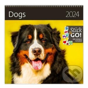 Kalendář nástěnný 2024 - Dogs - Helma365