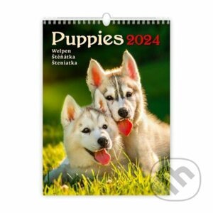 Kalendář nástěnný 2024 - Puppies/Welpen/Štěňátka/Šteniatka - Helma365