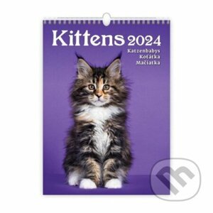 Kalendář nástěnný 2024 - Kittens/Katzenbabys/Koťátka/Mačičky - Helma365
