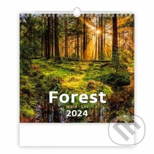 Kalendář nástěnný 2024 - Forest/Wald/Les - Helma365