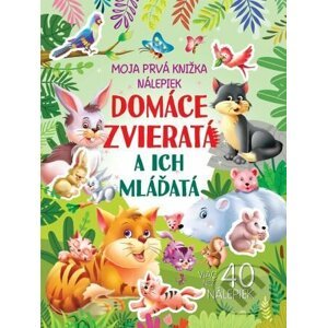 Domáce zvieratá a ich mláďatá - Foni book