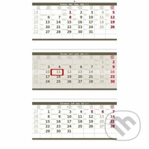 Kalendář nástěnný 2024 - Tříměsíční skládaný šedý - Helma365
