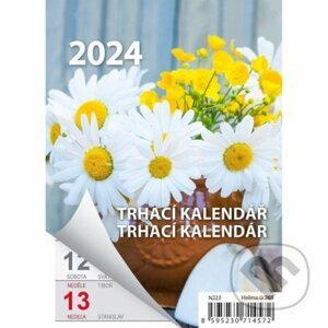 Kalendář nástěnný 2024 - Týdenní trhací kalendář A6, Týždenný trhací kalendár A6 - Helma365
