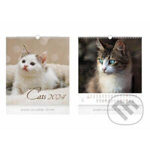 Kalendář nástěnný malý - Cats 2024 - MFP