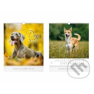 Kalendář nástěnný malý: Dogs 2024 - MFP