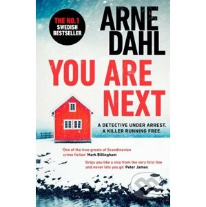 You Are Next - Arne Dahl