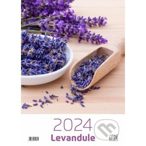 Kalendář 2024: Levandule, nástěnný - Almatyne
