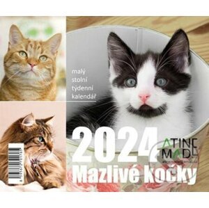 Kalendář 2024: Mazlivé kočky, stolní, týdenní - Almatyne