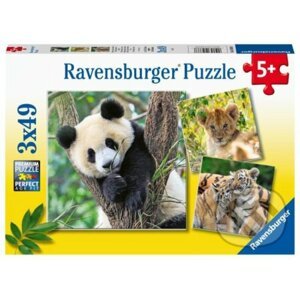 Panda, tygr a lev - Ravensburger
