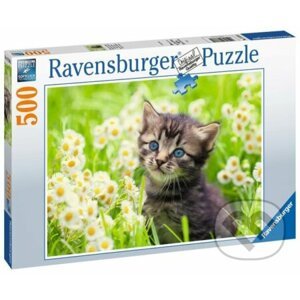 Kotě na louce - Ravensburger
