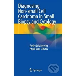 Diagnosing Non-small Cell Carcinoma in Small Biopsy and Cytology - Andre Luis Moreira, Anjali Saqi