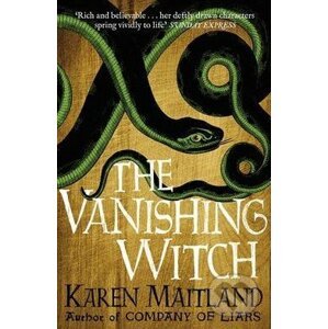 The Vanishing Witch - Karen Maitland