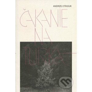 Čakanie na Turka - Andrzej Stasiuk