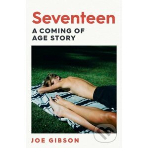 E-kniha Seventeen - Joe Gibson
