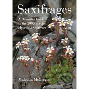 Saxifrages - Malcolm McGregor