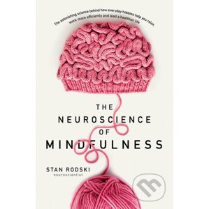 The Neuroscience of Mindfulness - Stan Rodski