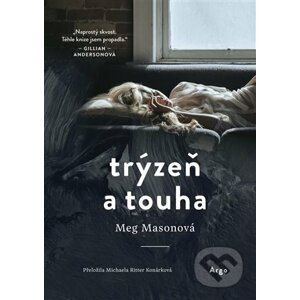 E-kniha Trýzeň a touha - Meg Mason