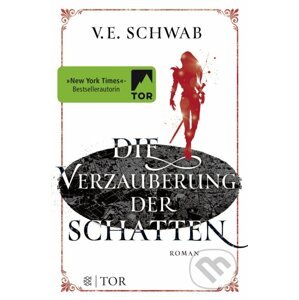 Die Verzauberung der Schatten - V.E. Schwab