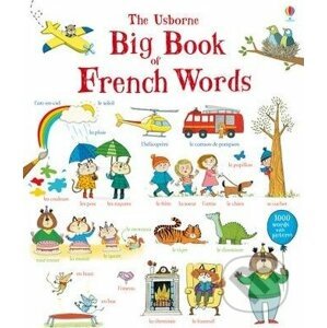 Big book of French words - Mairi Mackinnon, Hannah Wood
