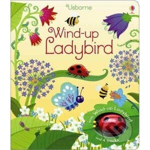 Wind-up ladybird - Fiona Watt, Ben Mantle (Iustrátor)