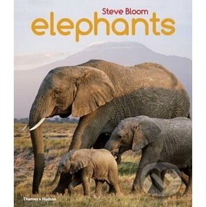 Elephants - Steve Bloom, David Henry Wilson