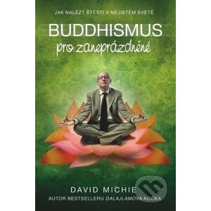 Buddhismus pro zaneprázdněné - David Michie
