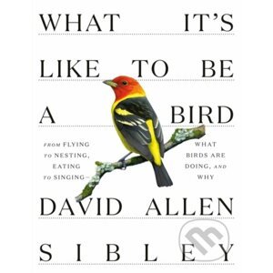 What It's Like to be a Bird - David Allen Sibley