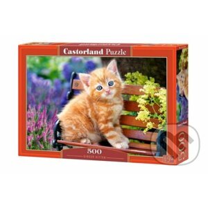Ginger Kitten - Castorland