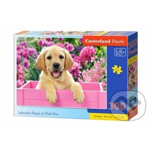 Labrador Puppy in Pink Box - Castorland