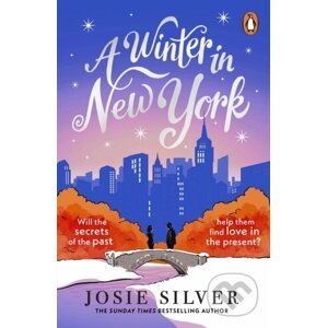 A Winter in New York - Josie Silver