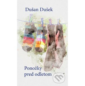 Ponožky pred odletom - Dušan Dušek