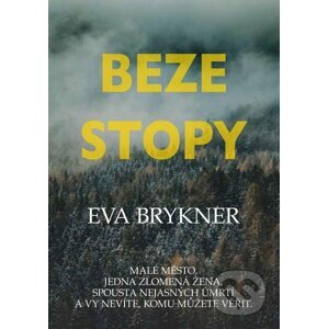 E-kniha Beze stopy - Eva Brykner