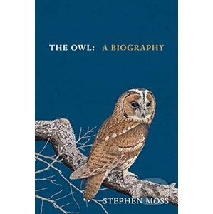 The Owl - Stephen Moss