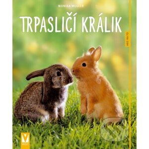 Trpasličí králik - Monika Wegler
