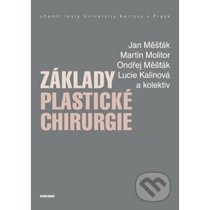 Základy plastické chirurgie - Jan Měšťák, Ondřej Měšťák