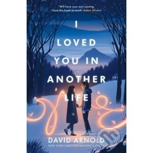 I Loved You In Another Life - David Arnold