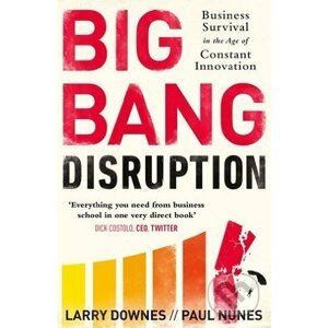 Big Bang Disruption - Larry Downes, Paul Nunes