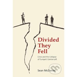Divided They Fell - Sean McDaniel
