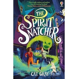 The Spirit Snatcher - Cat Gray