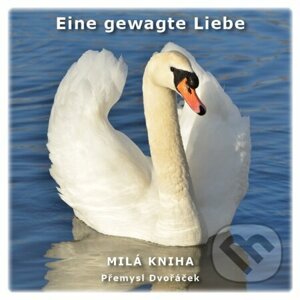 E-kniha Eine gewagte Liebe - Přemysl Dvořáček