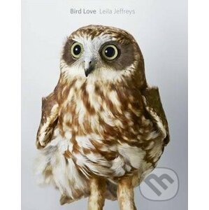 Bird Love - Leila Jeffreys