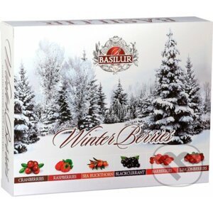 BASILUR Winter Berries 60 sáčků - Bio - Racio