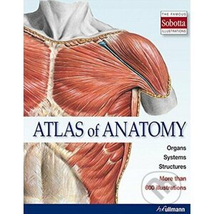 Atlas of Anatomy - Ullmann